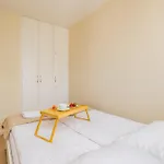Shortstaypoland Zelazna B162